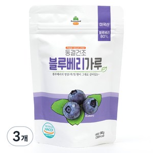 산마을 동결건조 블루베리가루, 90g, 3개