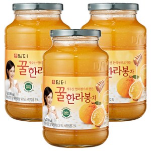 담터 꿀한라봉차, 1kg, 3개