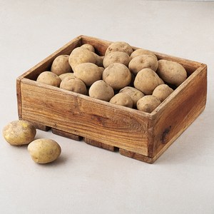 국내산 감자, 5kg, 1개