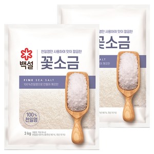 CJ제일제당 백설 꽃소금, 3kg, 2개
