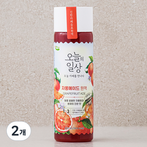 오늘의일상 자몽에이드 원액, 400ml, 2개