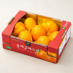 GAP 해풍맞은 올레길 당도선별 레드향, 1.5kg (중과,5~7입), 1박스