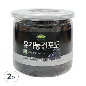 오가닉스토리 유기농 건포도, 230g, 2개