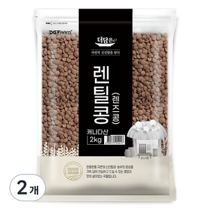 더담은 렌틸콩 렌즈콩, 2kg, 2개