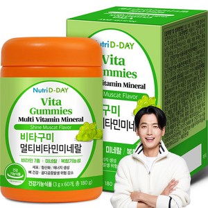 뉴트리디데이 비타구미 멀티비타민 미네랄 젤리 180g, 1개, 60정
