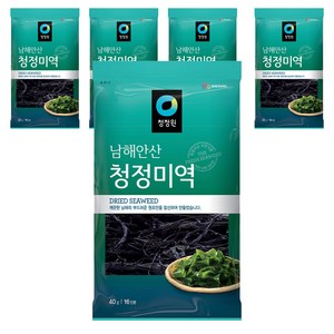 청정원 남해안산 청정미역, 40g, 5개