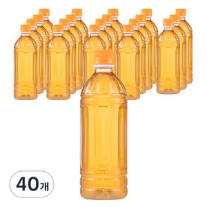 탐사 제로블랙티 자몽맛 무라벨, 500ml, 40개