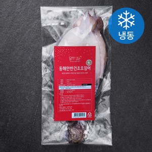 달빛청춘 동해안 반건조 오징어 5미 (냉동), 550g, 1개