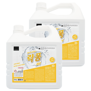 락퐁 욕실 청소세제 레몬향, 4L, 2개