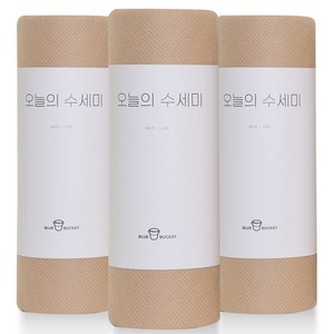 블루버킷 오늘의 수세미 60p, 3개, 베이지