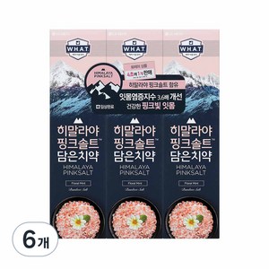히말라야핑크솔트 담은 치약 플로럴, 100g, 6개