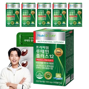 뉴트리디데이 프리미엄 루테인 플러스 12, 30정, 15g, 6개