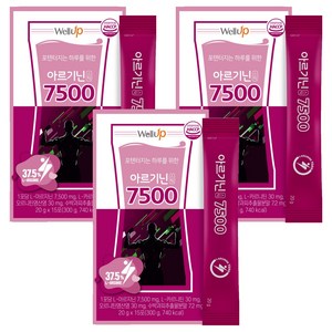 웰업 아르기닌 7500 액상스틱 15p, 300g, 3개