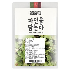 조은약초 자연을 담는다 뽕잎, 200g, 1개입, 1개