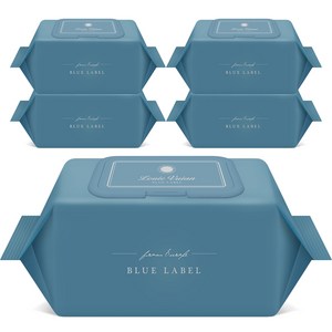 루이비앙 블루 86gsm 저자극 엠보싱 아기물티슈 캡형, 70매, 5팩