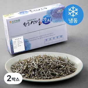 완도소안농협 멸치(소멸), 500g, 2박스