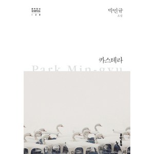 카스테라 양장본, 문학동네, 글: 박민규