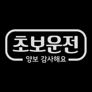 제제데코 심플라인 초보운전 스티커, 반사, 1개