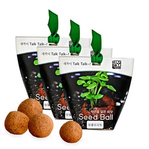 틔움월드 자연을 닮은 씨앗 Seed Ball 텃밭가꾸기세트 4개입 3세트, 방울토마토