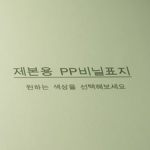 카피어랜드 PP 제본표지 0.5mm 100p, 반투명녹색, A4