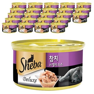 쉬바 반려묘용 간식 캔, 참치+젤리소스, 85g, 24개