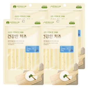 내츄럴랩 건강한치즈 반려견 간식, 블루베리스틱 맛, 100g, 4개