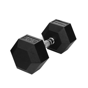 이고진 고무 육각 아령 20kg, 1개