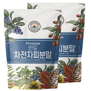 해나식품 인도 차전자피분말, 500g, 2개