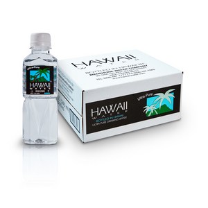 하와이워터 화산암반수, 240ml, 42개