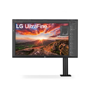 LG전자 80cm 4K UHD 360 모니터 LG4K모니터