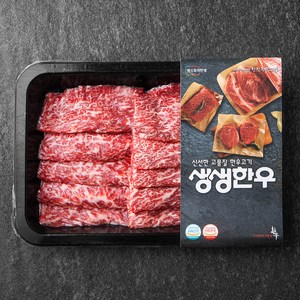 생생한우 1등급 치마살 구이용 (냉장), 200g, 1개