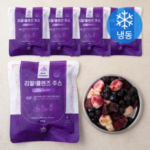 팜조아 리얼 클렌즈 주스 Puple KIT 200g (냉동), 5개