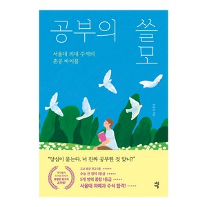 공부의 쓸모:서울대 의대 수석의 혼공 바이블, 다산에듀, 송용섭