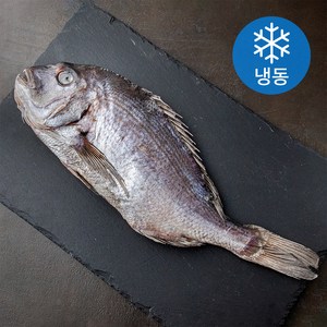 아라보감 맛 좋기로 소문난 남해 미조 반건조 찜용 제수용 참돔 (냉동), 850~1200g, 1개