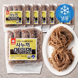 천일냉동 사누끼 메밀면 5개입 (냉동), 10kg, 1개