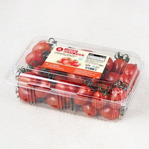 다조은 스테비아 대추 방울토마토, 1.2kg, 1팩