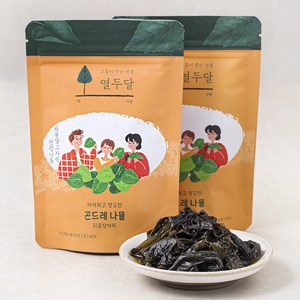 열두달 12개월 곤드레나물 피클 장아찌, 100g, 2개