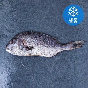 아라보감 맛 좋기로 소문난 남해 미조 손질 참돔 탕용 구이용 (냉동), 400g, 1개