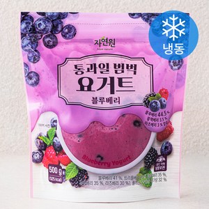 자연원 통과일 범벅 요거트 블루베리 (냉동), 500g, 1개