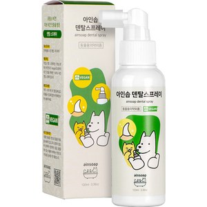 아인솝 덴탈 스프레이 구강청결제, 100ml, 1개