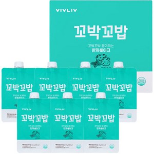 비브리브 꼬박꼬밥 챙겨먹는 한끼 쉐이크 민트초코, 40g, 7개