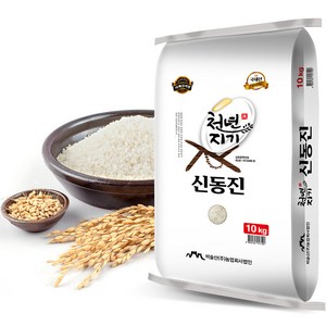 비슬산 천년지기쌀 2024년산 햅쌀 신동진 백미, 특등급, 10kg, 1개