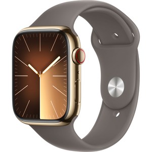 Apple 애플워치 9 GPS+Cellula, 45mm, 스테인리스, 골드 / 클레이 스포츠 밴드, M/L