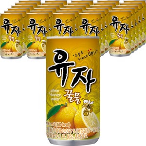 일화 유자꿀물, 175ml, 30개