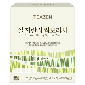 티젠 잘 자란 새싹보리차, 550mg, 40개입, 1개