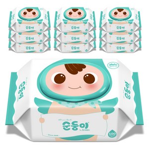 순둥이 오리지널 엘그린 아기물티슈 캡형 50평량, 100매, 10팩