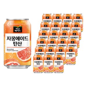 미닛메이드 자몽에이드 탄산, 355ml, 24개