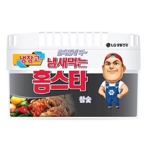 홈스타 냄새먹는 냉장고용 탈취제 참숯, 420g, 1개