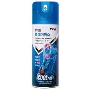 뷰카 후레쉬 쿨 에어 파스 스프레이, 1개입, 1개