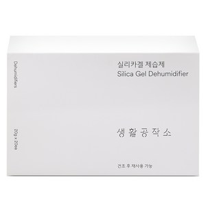 생활공작소 실리카겔 제습제 본품, 20g, 1개